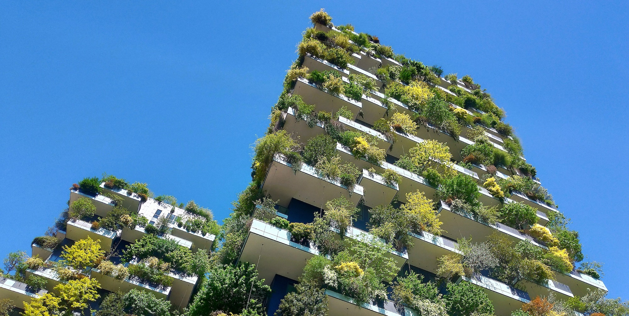 A photo of the Bosco Verticale, or Vertical Forest, in Milan, Italy.